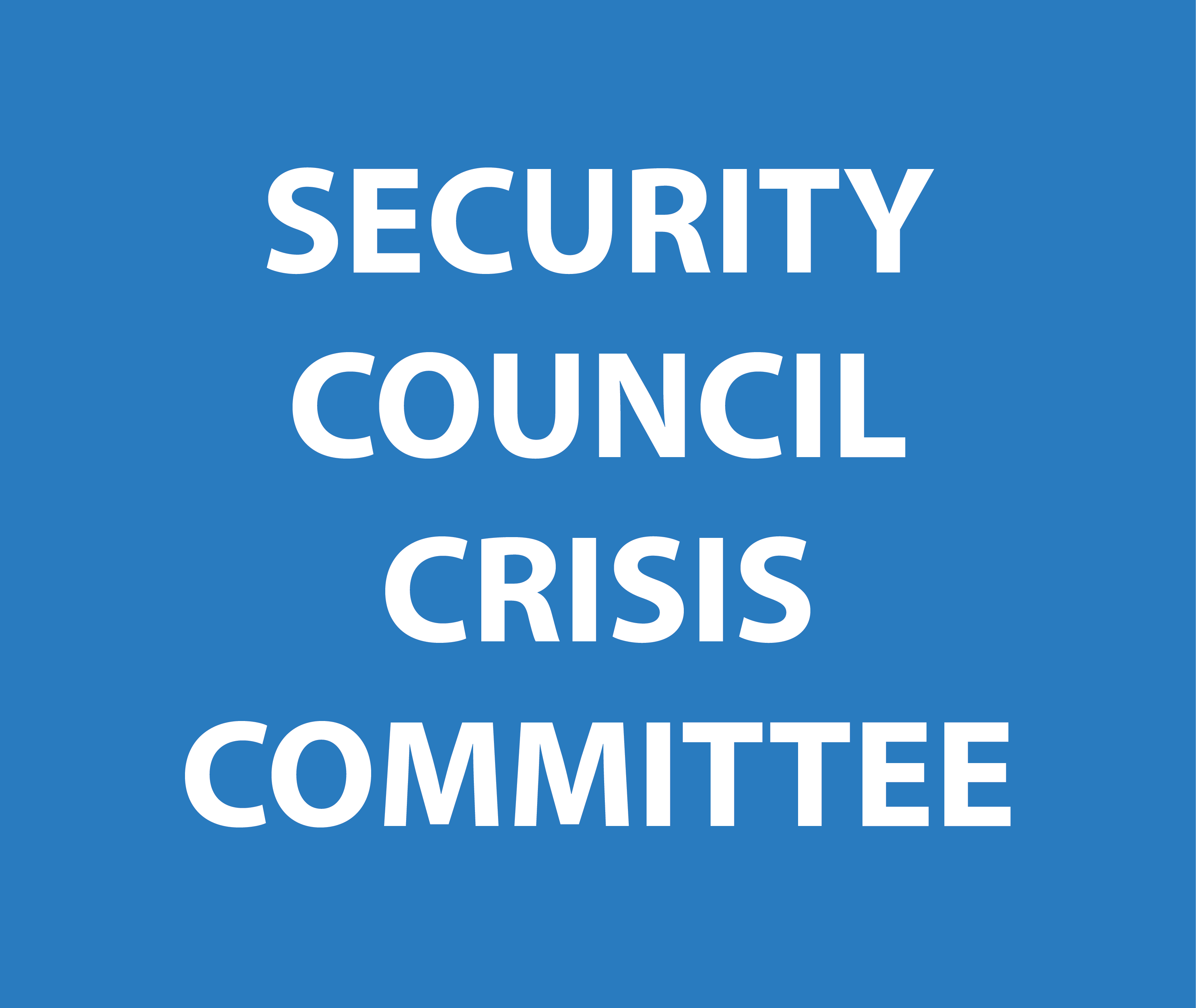 Security council crisis committee